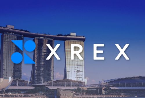 R获新加坡支付机构执照原则性批准 将扩大支持货币种类