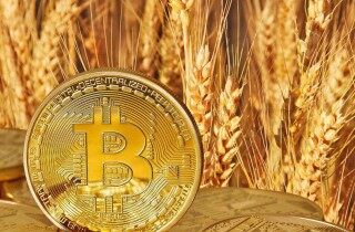 维卡币怎么投资 _ 维卡币的投资价值
