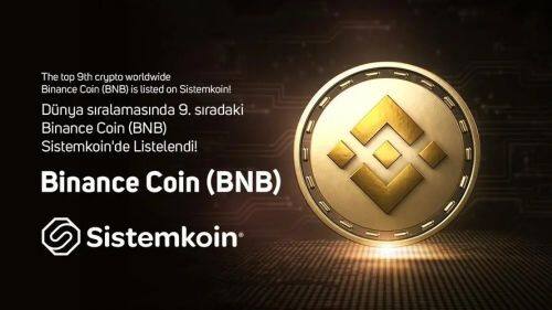 BNB币未来前景如何-第1张图片-币安下载