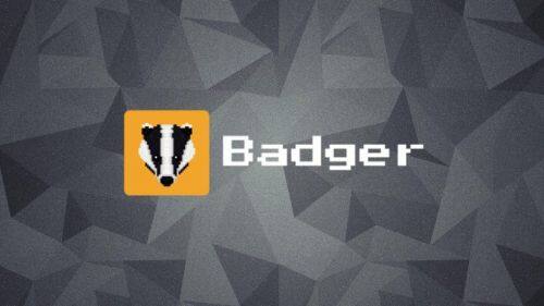 什么是Badger DAO币-第1张图片-币安下载