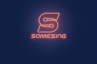 SOMESING _ SSX是什么币