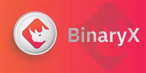 什么是BinaryX币-第1张图片-币安下载