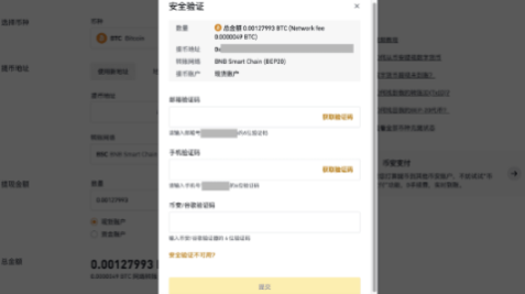币安提币地址错误怎么办-第2张图片-币安下载