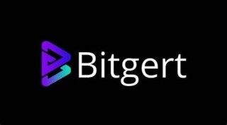 什么是Bitgert _ BRISE币