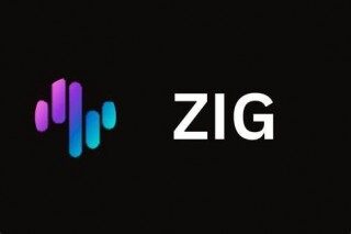什么是ZigCoin _ ZIG币