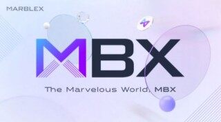 什么是MARBLEX _ MBX币