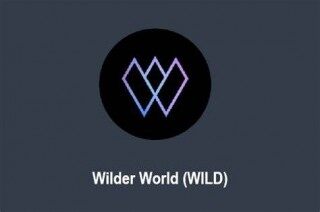 什么是Wilder World _ WILD币