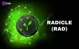 什么是Radicle _ RAD币