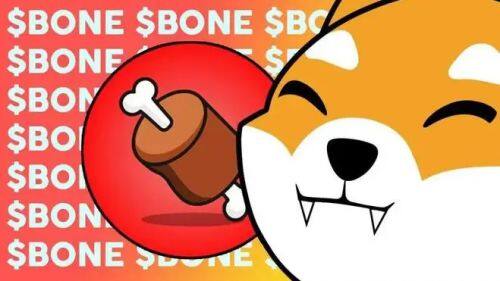 什么是Bone ShibaSwap(BONE)币-第1张图片-币安下载