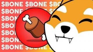 什么是Bone ShibaSwap _ BONE币