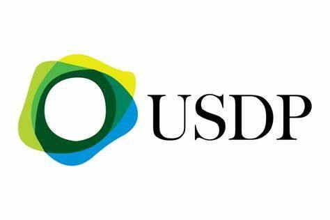 Pax Dollar(USDP)币种介绍-第1张图片-币安下载