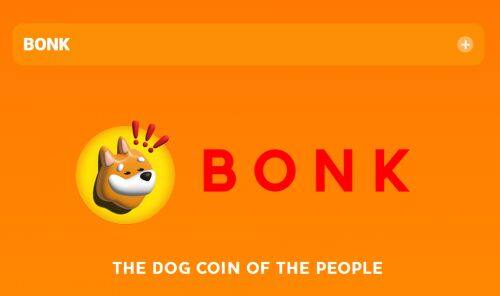 Bonk币是什么币种-第1张图片-币安下载