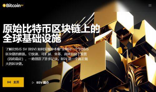BSV币是什么币种-第1张图片-币安下载