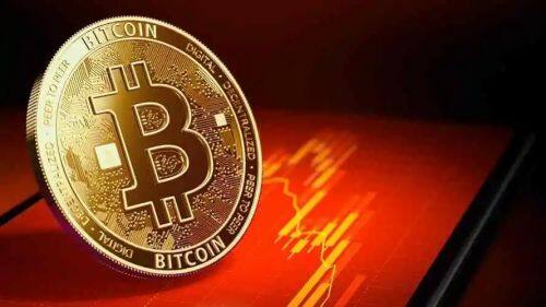 未来CCOIN币的发展前景如何？-第1张图片-币安下载