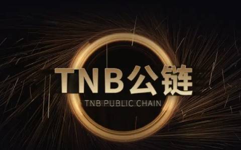 现货量化软件哪里找-2024最新榜单排行