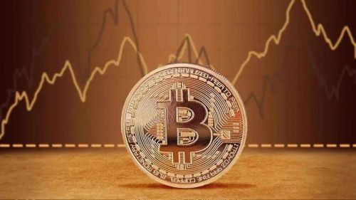 什么是萨摩耶币(SAMO)?SAMO币有什么特点?-第1张图片-币安下载